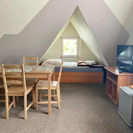 Goscinne Wilga 게스트하우스 자코파네