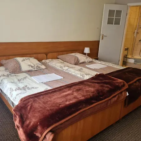 Maison d'hôtes Goscinne Wilga Zakopane