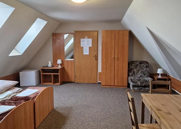 Goscinne Wilga 扎科帕内