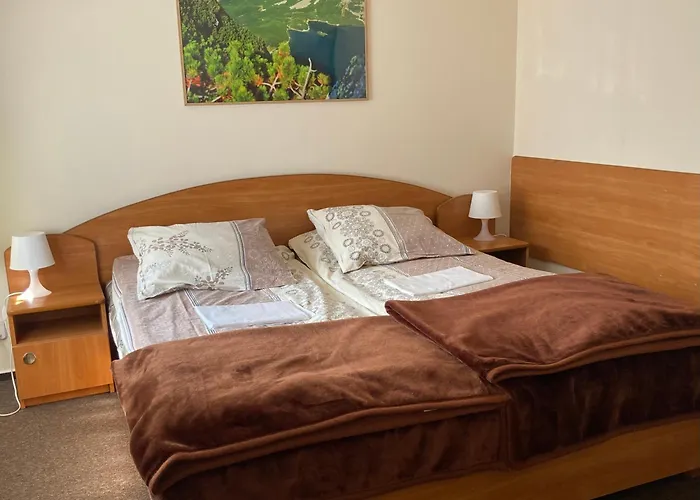 Goscinne Wilga 扎科帕内