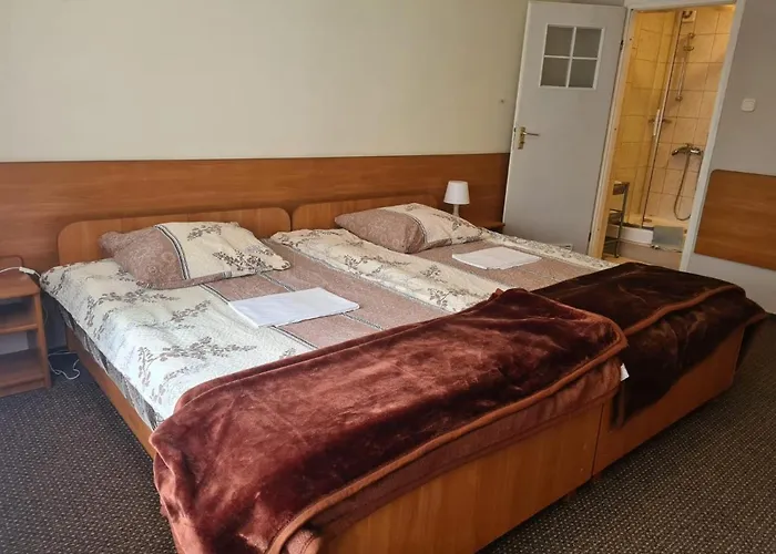 Penzion Goscinne Wilga Zakopane