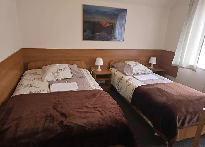Gościnne Wilga 3* Zakopane